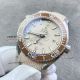 vsf replica omega Planet Ocean 600M beige dial brown bezel watch  (3)_th.jpg